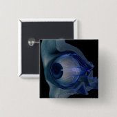 wireframe 3d der Augenmuskeln in einem Sockel Button (Vorne & Hinten)