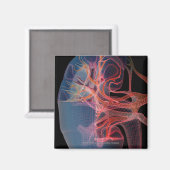 Wireframe der Innenseite einer Niere Magnet (Vorderseite/Rückseite)