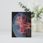 Wireframe der Innenseite einer Niere Postkarte (Stehend Vorderseite)