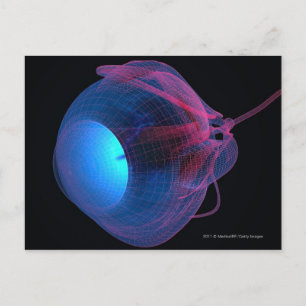 Wireframe der Muskeln des Auges Postkarte