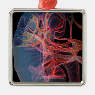 Wireframe des Inneres einer Niere Ornament Aus Metall