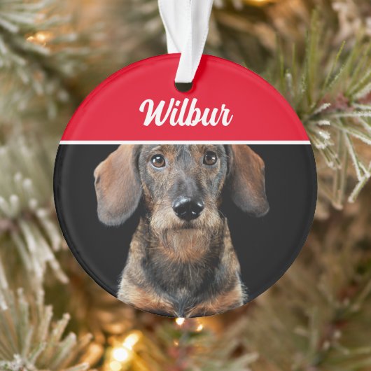 Wirehaired Dachshund with Name and Photo Christmas Ornament (Baum)