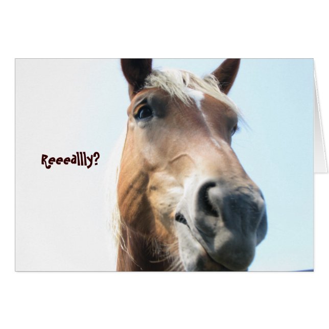 Wirklich? (Vorderseite (Horizontal))