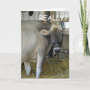 WIRKLICH? BALD GUT! KARTE