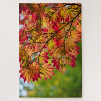 Wirklich Bunte Herbstlaub-Puzzle Puzzle