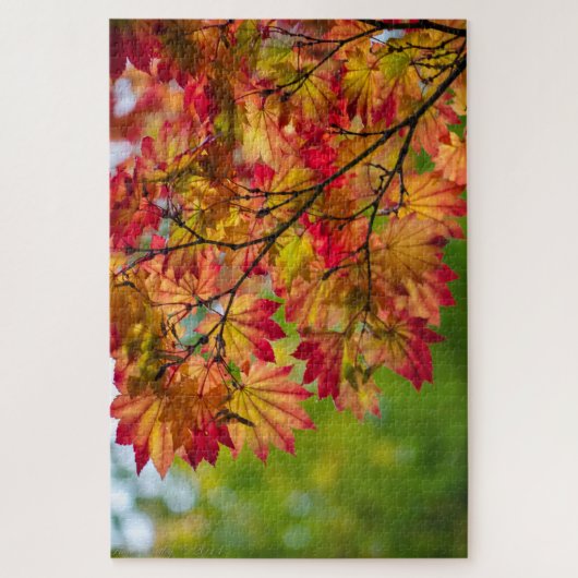 Wirklich buntes Herbstlaub-Puzzlespiel Puzzle (Vertikal)