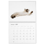 Wirklich gut gespielt: Siamkatzen Kalender (Jan 2027)