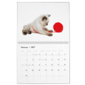 Wirklich gut gespielt: Siamkatzen Kalender (Feb 2027)