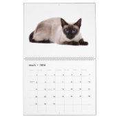 Wirklich gut gespielt: Siamkatzen Kalender (Mär 2026)
