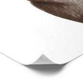 Wirklich Niedlicher Mops mit Brille Poster (Ecke)