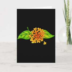 Wirklich Osmanthus-Blütentee Ostasien mögen Karte