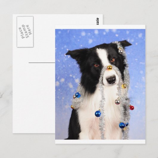 Wirklich? Postkarte (Vorne/Hinten)