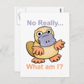 Wirklich... Was bin ich? Platypus Postkarte (Vorne/Hinten)