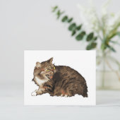 Wirklich wütende Katze Postkarte (Stehend Vorderseite)