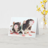 Wirkliche Frauen besitzen Ratten! Karte (Gelbe Blume)