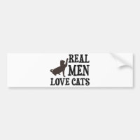 Wirkliche Mann-Liebe-Katzen