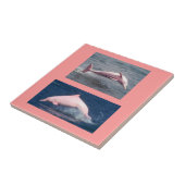 wirkliche rosa Delphinfliese Fliese (Seite)