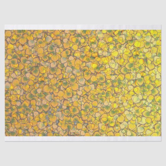 Wirklicher Aspen verlässt Seidenpapier (Vorderseite)