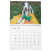 Wirklicher Kalender der Haustier-2009 (Jan 2027)