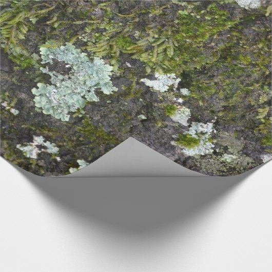 Wirkliches Geschenkpapier (Ecke)