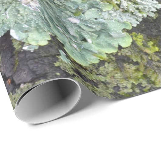 Wirkliches Geschenkpapier (Rolleneckpunkt)