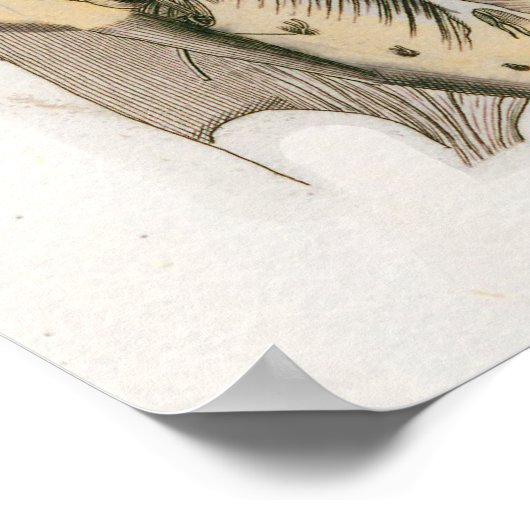 Wirkungen des Spinal Subluxation Poster Chiroprakt (Ecke)