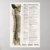Wirkungen des Spinal Subluxation Poster Chiroprakt (Vorne)