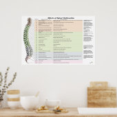 Wirkungen des Spinal Subluxation Poster Chiroprakt (Küche)