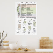 Wirkungen des Spinal Subluxation Poster Chiroprakt (Küche)