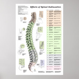 Wirkungen des Spinal Subluxation Poster Chiroprakt