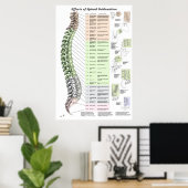 Wirkungen des Spinal Subluxation Poster Chiroprakt (Heimbüro)