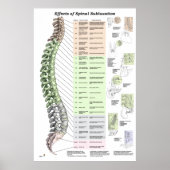 Wirkungen des Spinal Subluxation Poster Chiroprakt (Vorne)