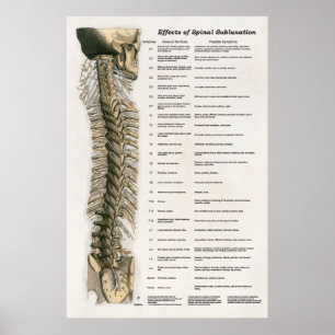 Wirkungen von Spinal Subluxation Poster Chiropract