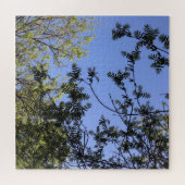 Wirrwarr im Blätterdach Puzzle (Horizontal)
