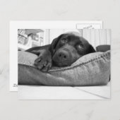 Wirst du spielen? postkarte (Vorne/Hinten)