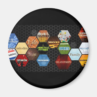 wis.dm-Szenenfeldmagnet Magnet