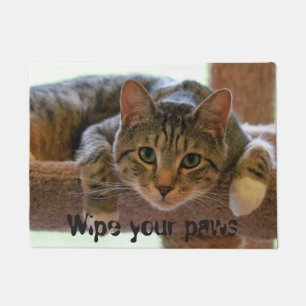 Wischen Sie Ihr Tatzen-Katzen-Gesicht ab Fußmatte