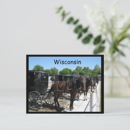 Wisconsin Amish Postkarte (Stehend Vorderseite)