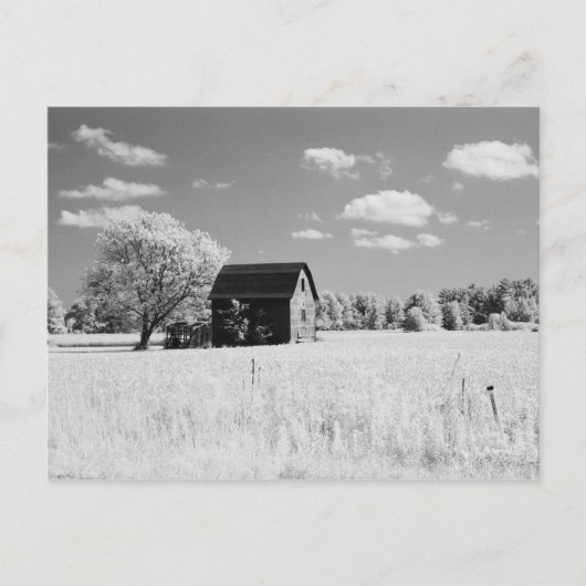Wisconsin Barn Photo Reprint Postkarte (Vorderseite)