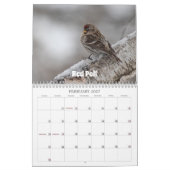 Wisconsin Birds Calendar 2026 Kalender (Feb 2027)