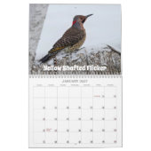 Wisconsin Birds Calendar 2026 Kalender (Jan 2027)