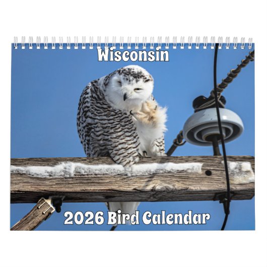 Wisconsin Birds Calendar 2026 Kalender (Titelbild)