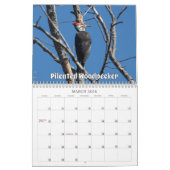 Wisconsin Birds Calendar 2026 Kalender (Mär 2026)
