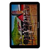 Wisconsin Cows Magnet (Vertikal)