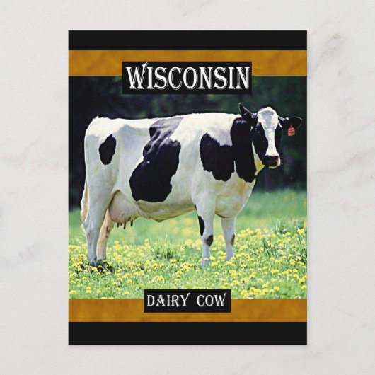 Wisconsin Dairy Cow Postkarte (Vorderseite)