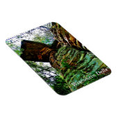 Wisconsin Dells Magnet (Rechte Seite)