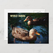Wisconsin Ducks Postkarte (Vorne/Hinten)
