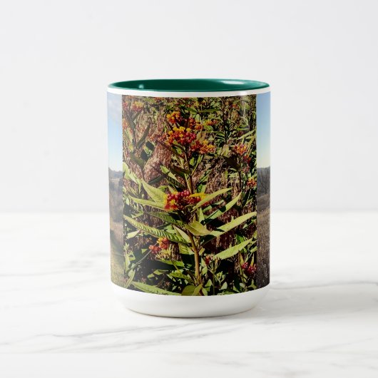Wisconsin Fall Wildblume und Field Coffee Tasse (Mittel)