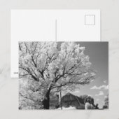 Wisconsin Farm Postcard Postkarte (Vorne/Hinten)