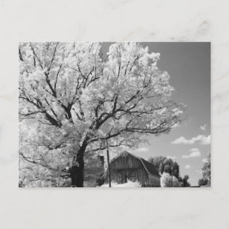 Wisconsin Farm Postcard Postkarte